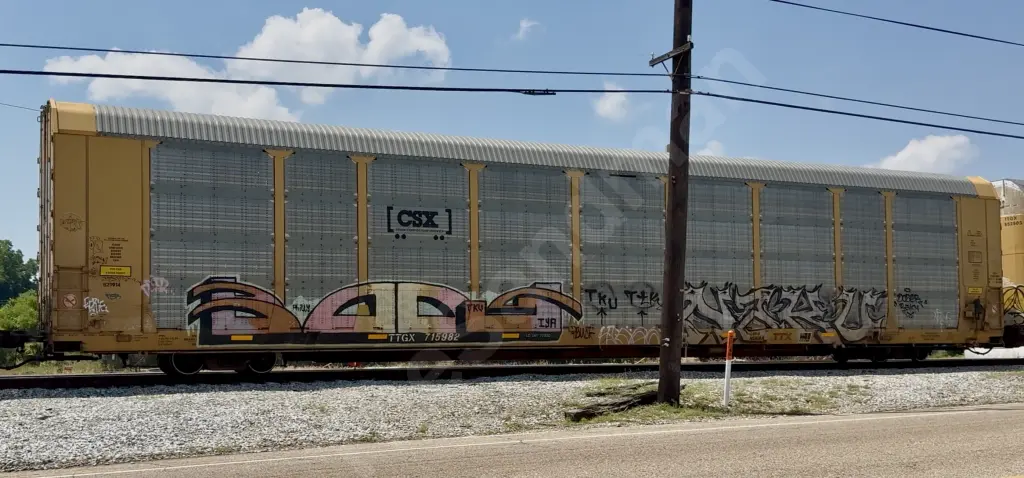 TTGX715982 - NORTH-AMERICA
