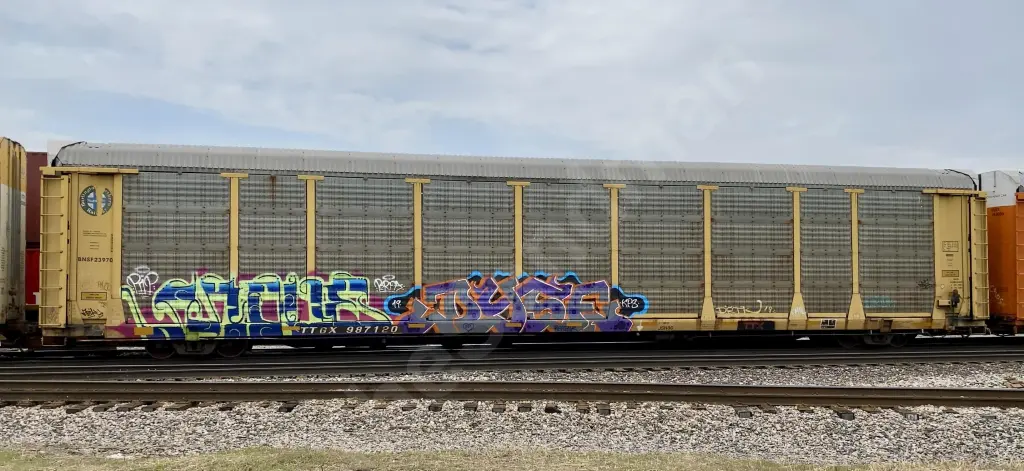 TTGX987120 - NORTH-AMERICA