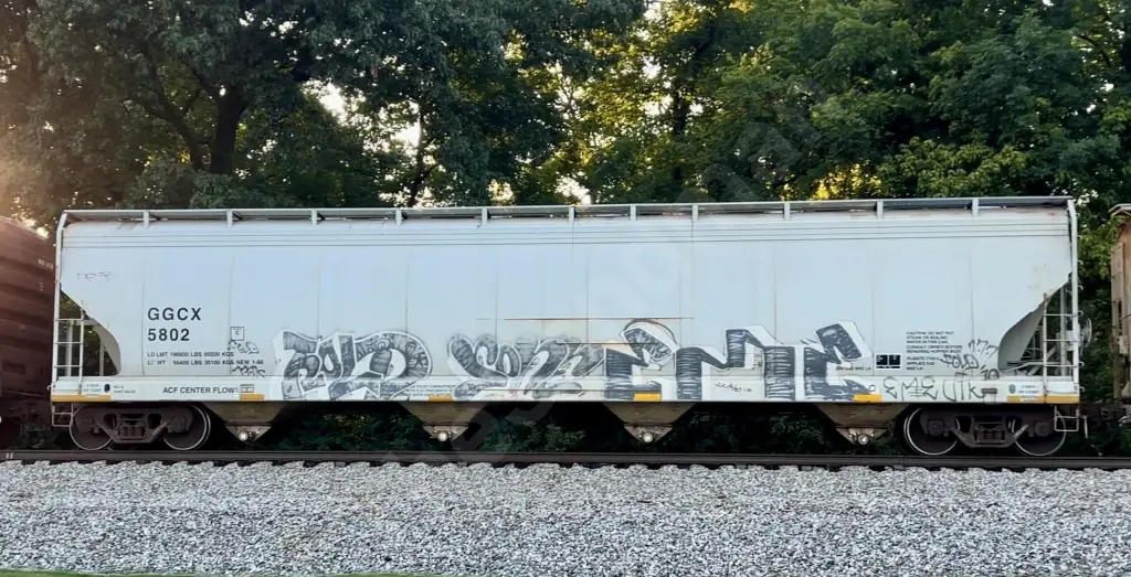 GGCX5802 - NORTH-AMERICA