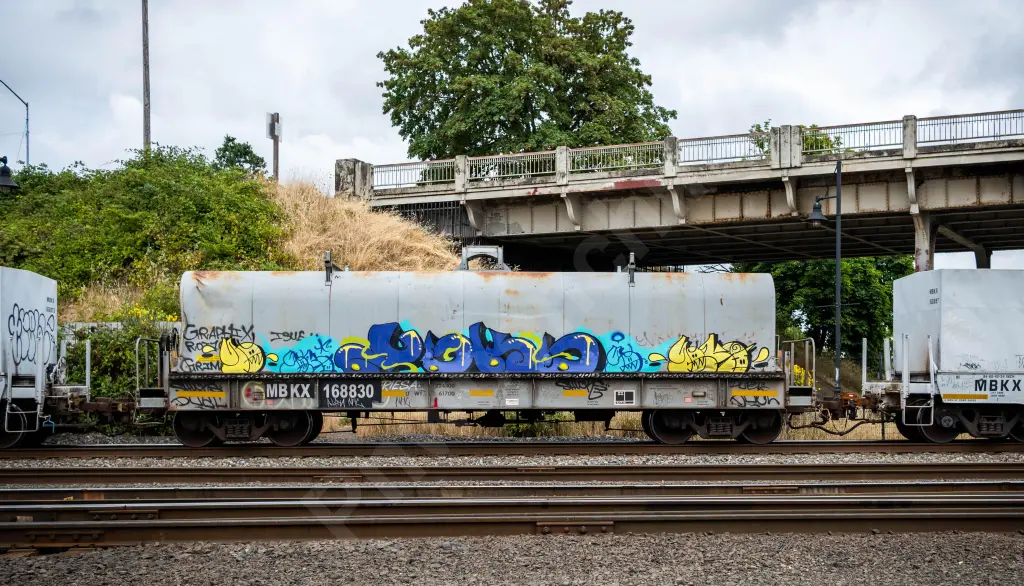 Train photo