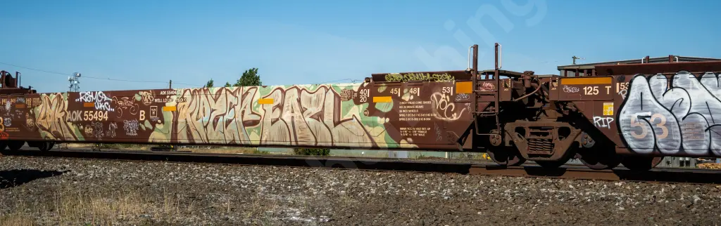 AOK55494 - NORTH-AMERICA