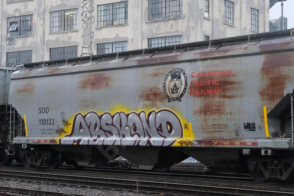 SOO119133 - NORTH-AMERICA