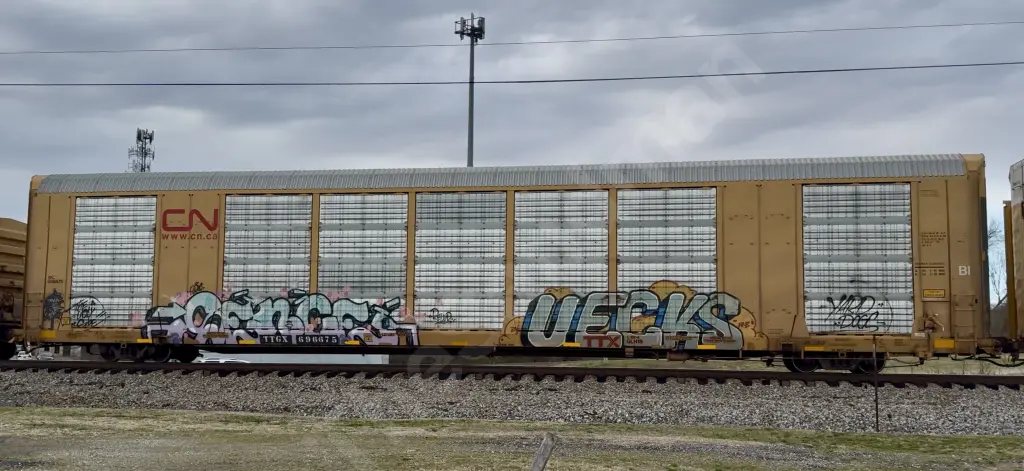TTGX696675 - NORTH-AMERICA