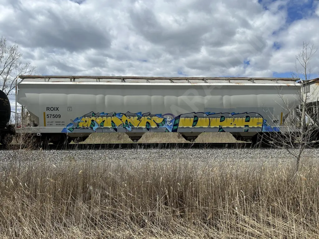 ROIX57509 - NORTH-AMERICA