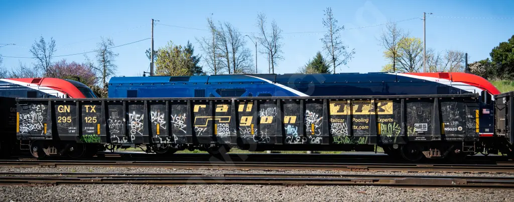 GNTX295125 - NORTH-AMERICA