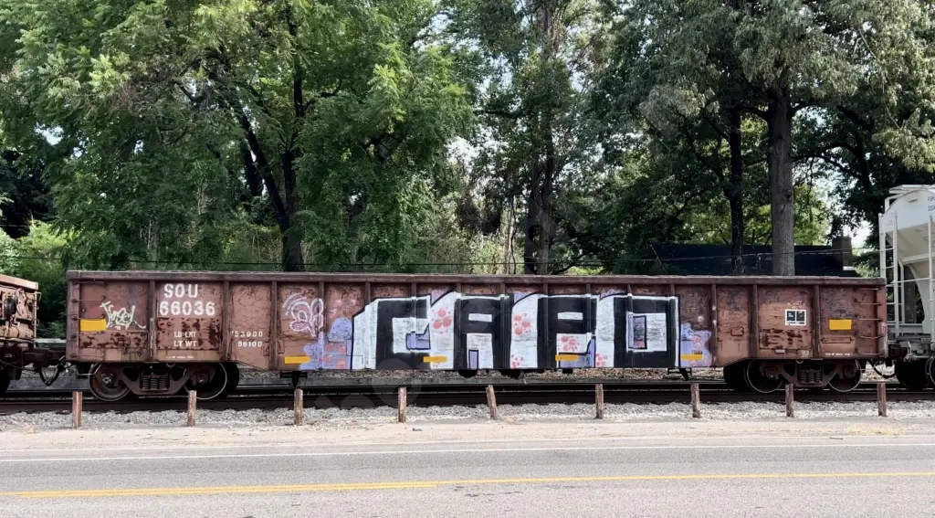 SOU66036 - NORTH-AMERICA