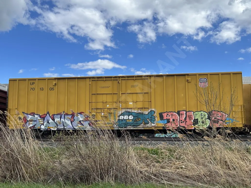 UP701305 - NORTH-AMERICA