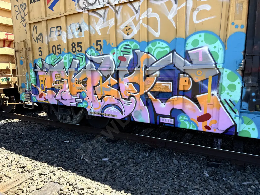 FBOX505855 - NORTH-AMERICA