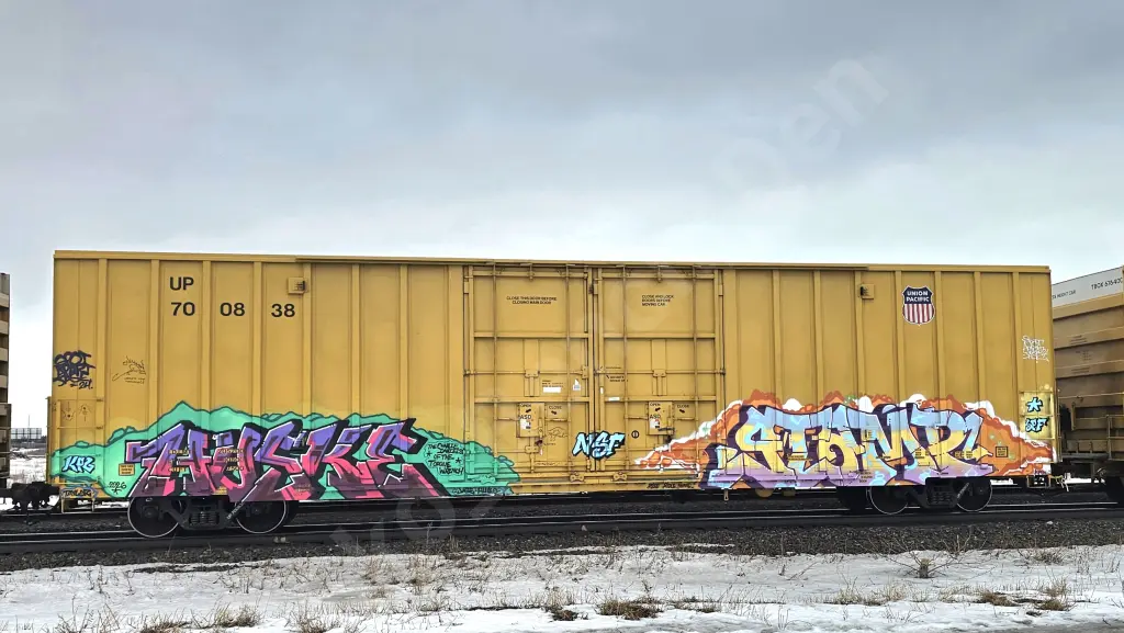 UP700838 - NORTH-AMERICA