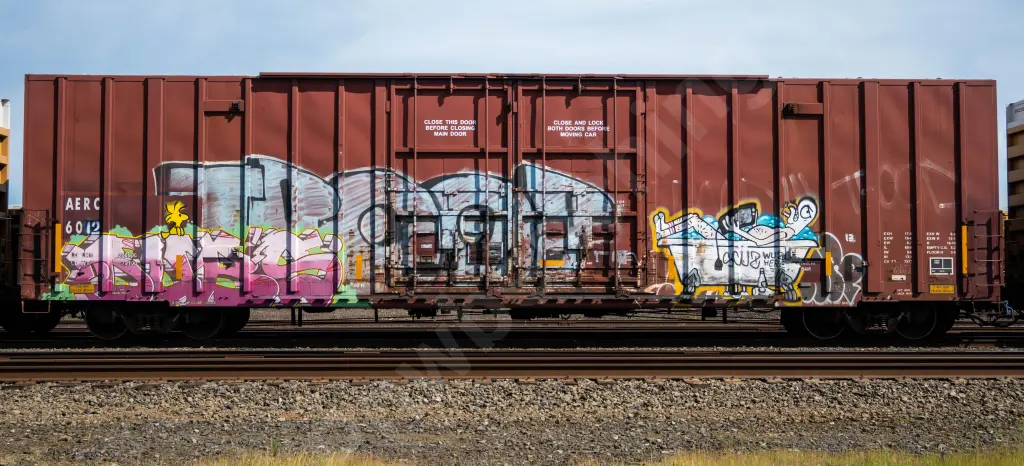AERC6012 - NORTH-AMERICA