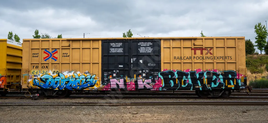 TBOX643620 - NORTH-AMERICA