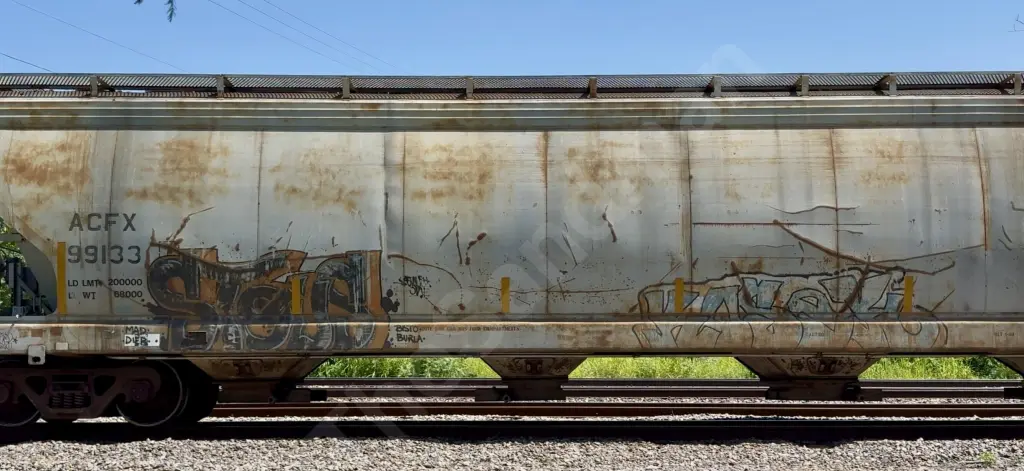 ACFX99133 - NORTH-AMERICA