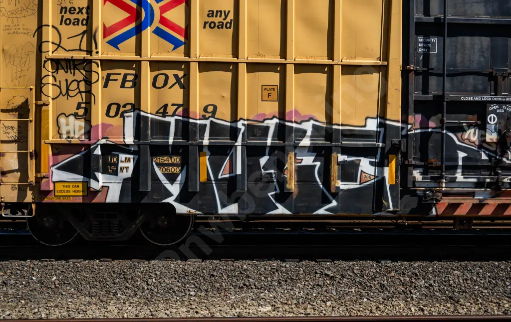 FBOX502479 - NORTH-AMERICA