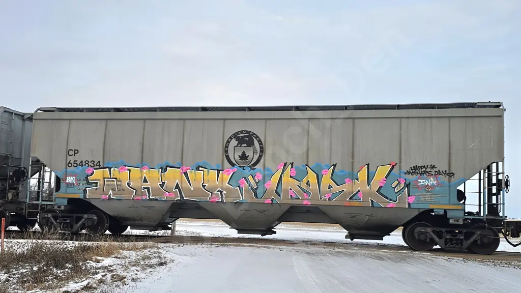 CP654834 - NORTH-AMERICA