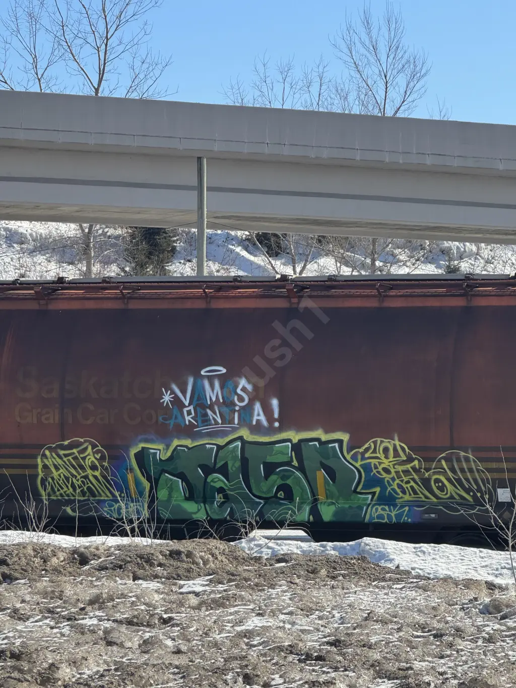 MGLX397358 - NORTH-AMERICA