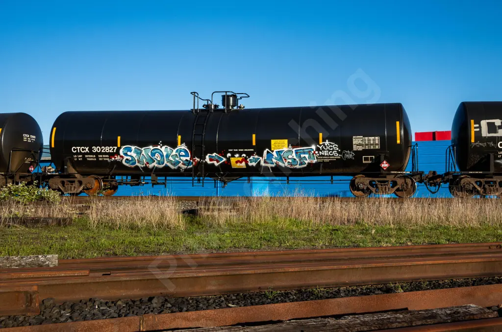 CTCX302827 - NORTH-AMERICA
