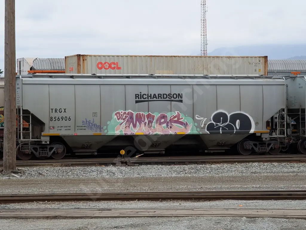 TRGX856906 - NORTH-AMERICA