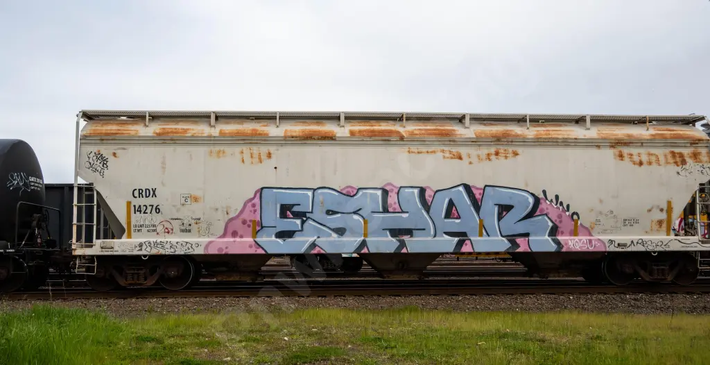 CRDX14276 - NORTH-AMERICA