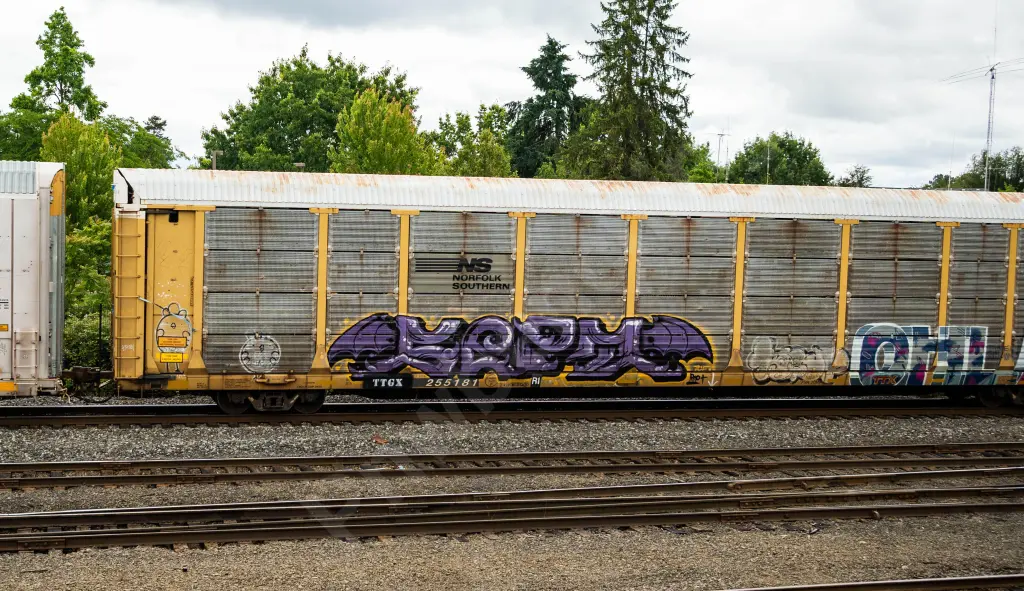 Train photo