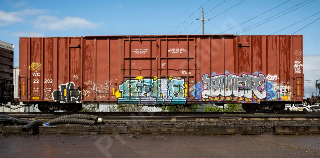 WC22202 - NORTH-AMERICA