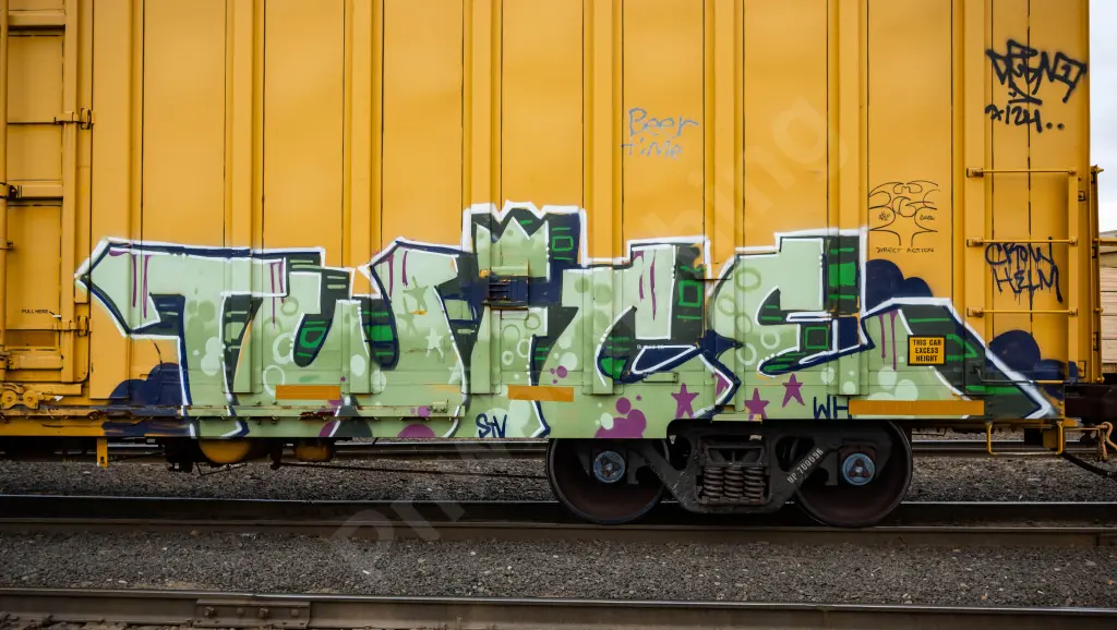 UP700096 - NORTH-AMERICA
