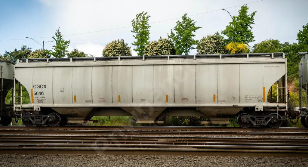 CGOX5646 - NORTH-AMERICA