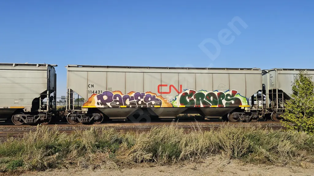 CN114421 - NORTH-AMERICA