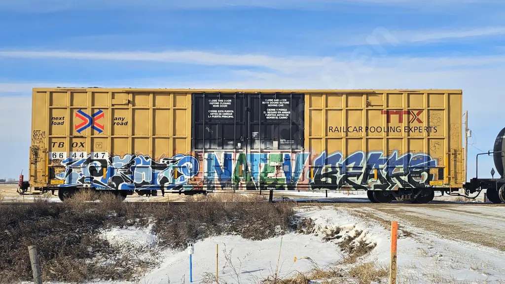 TBOX664447 - NORTH-AMERICA