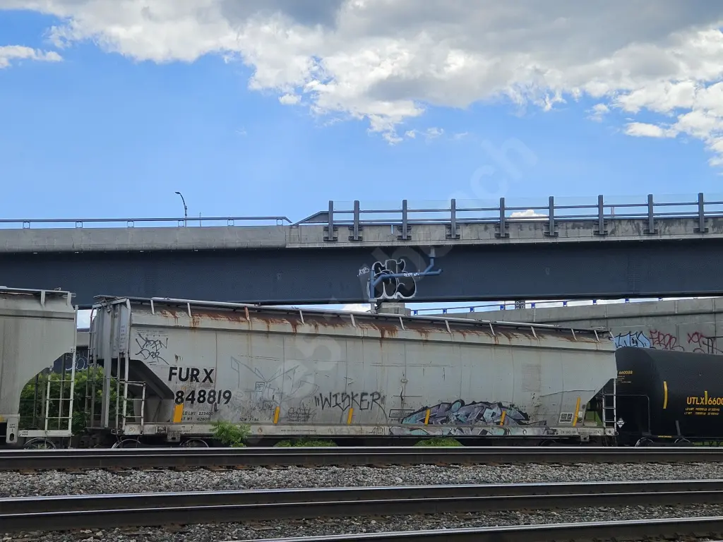 FURX848819