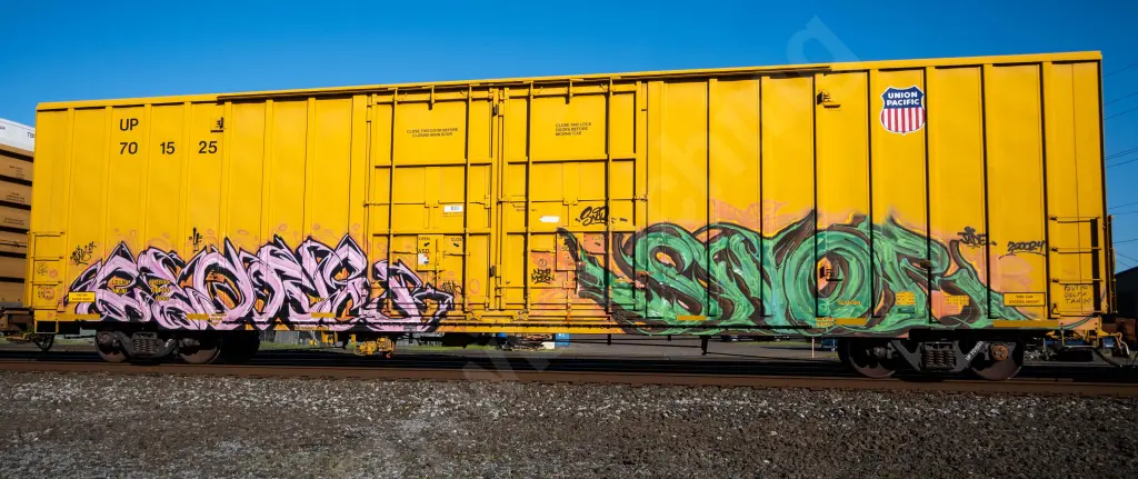 UP701525 - NORTH-AMERICA