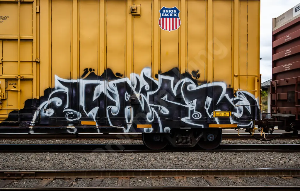UP700056 - NORTH-AMERICA