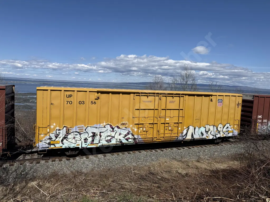 UP700356 - NORTH-AMERICA