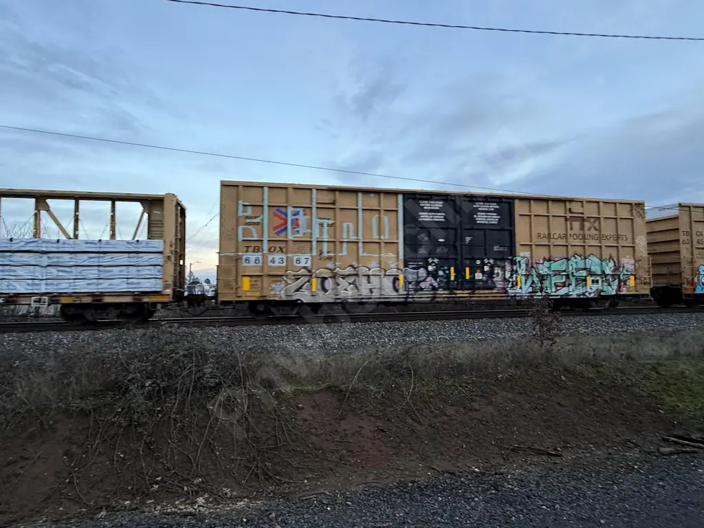 TBOX664367 - NORTH-AMERICA