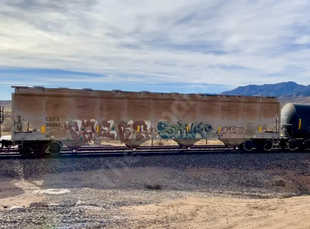 CEFX50442 - NORTH-AMERICA