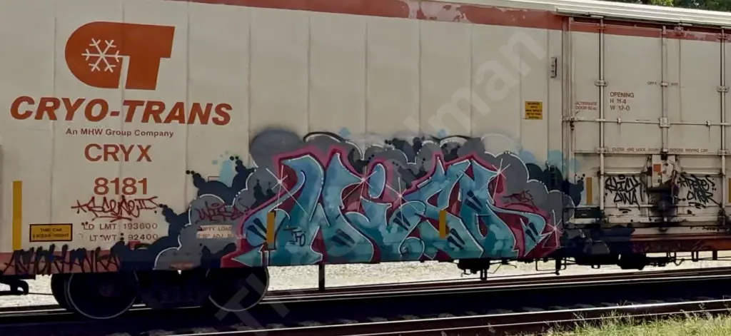 CRYX8181 - NORTH-AMERICA