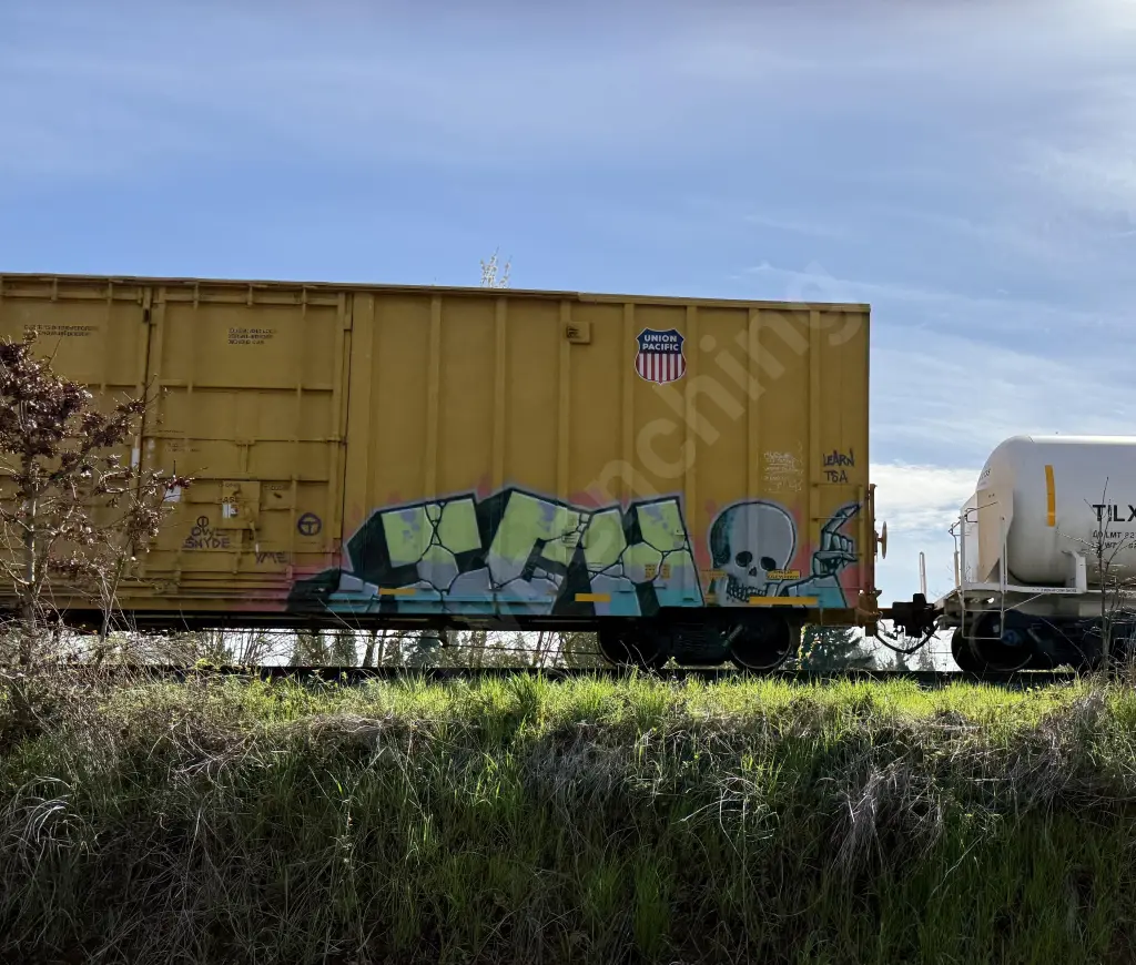 UP701580 - NORTH-AMERICA