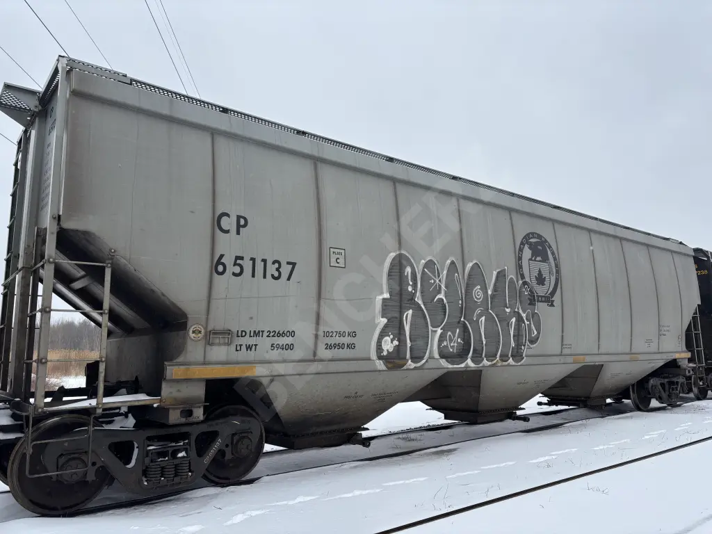 CP651137 - NORTH-AMERICA
