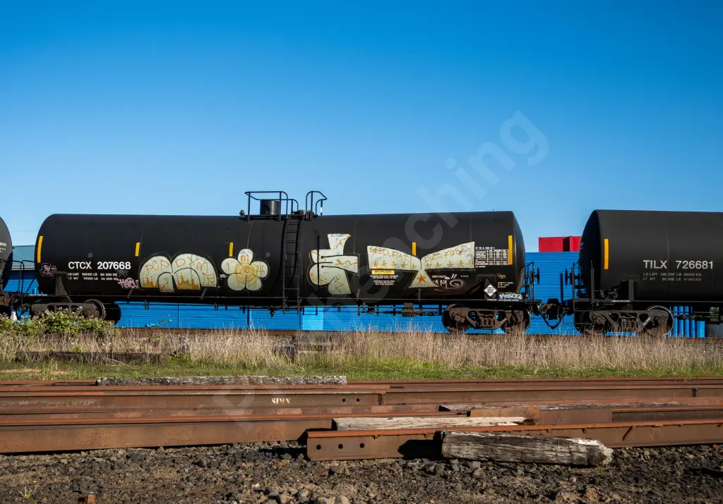 CTCX207668 - NORTH-AMERICA