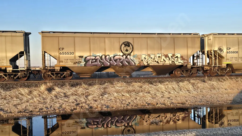 CP655530 - NORTH-AMERICA