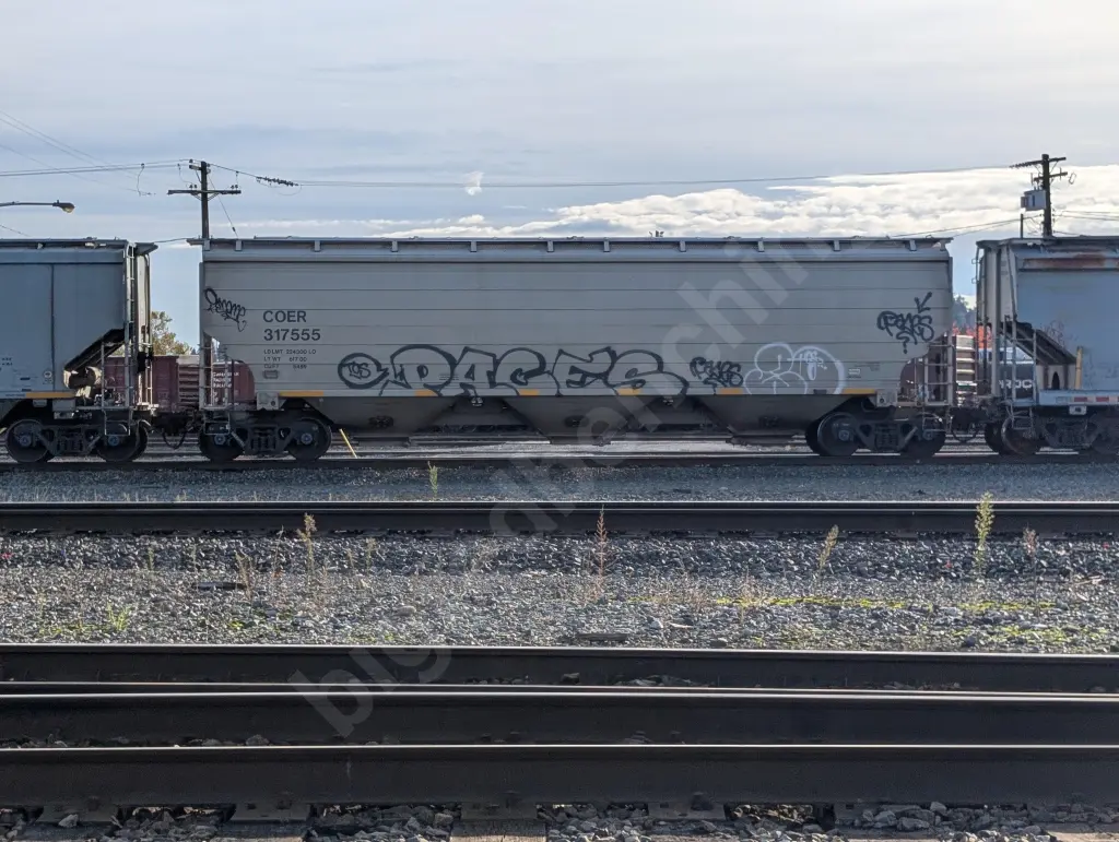 COER317555 - NORTH-AMERICA