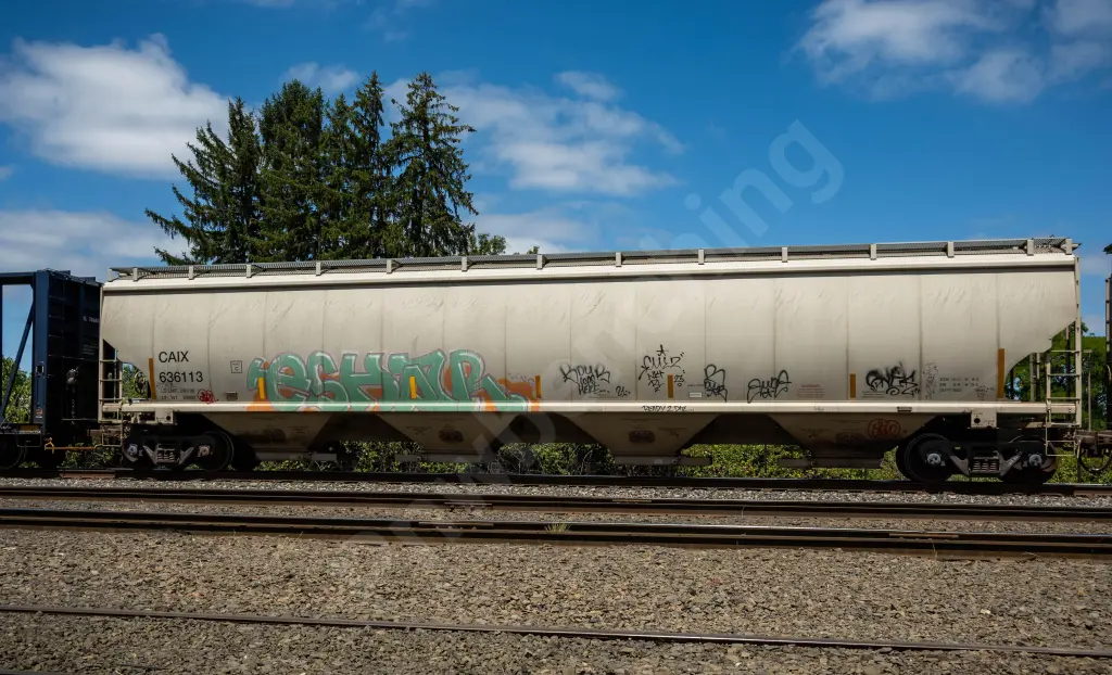 CAIX636113 - NORTH-AMERICA