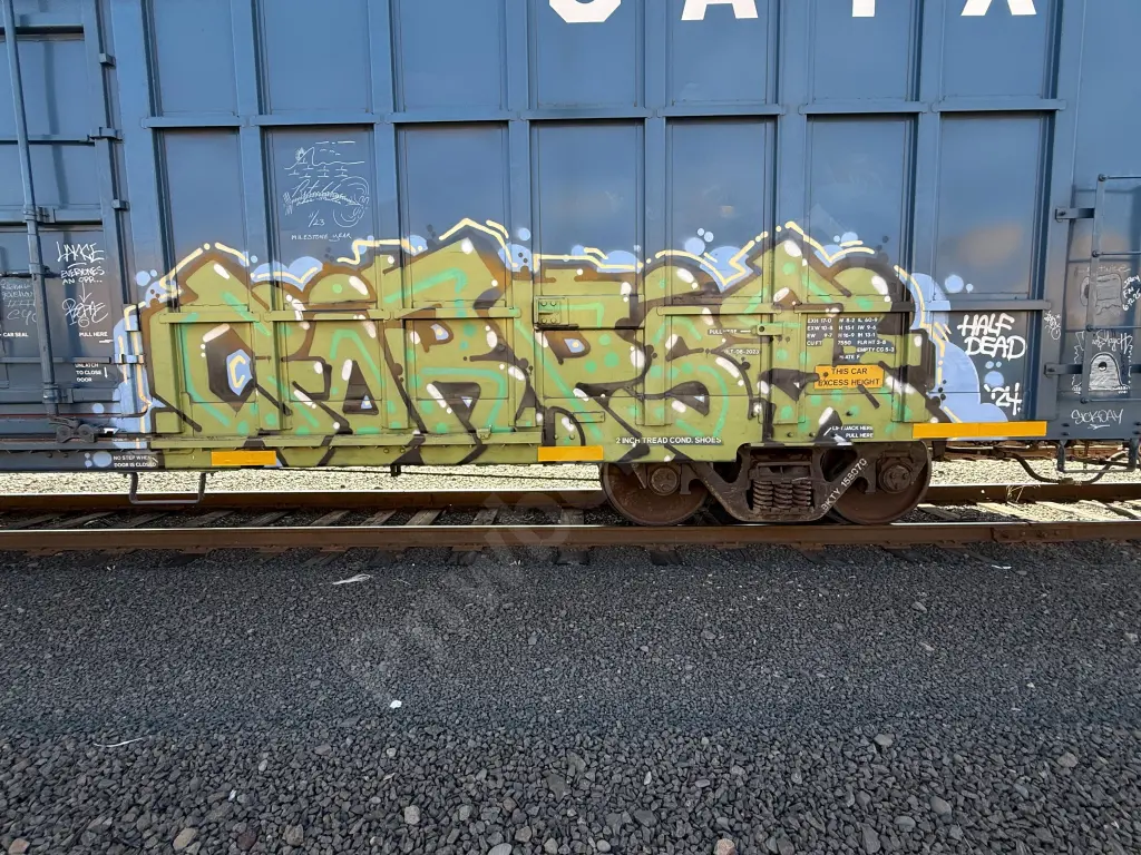BKTY158070 - NORTH-AMERICA