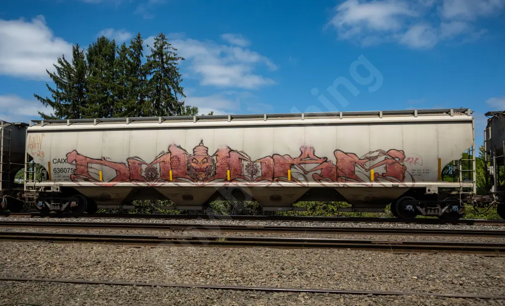 CAIX636075 - NORTH-AMERICA