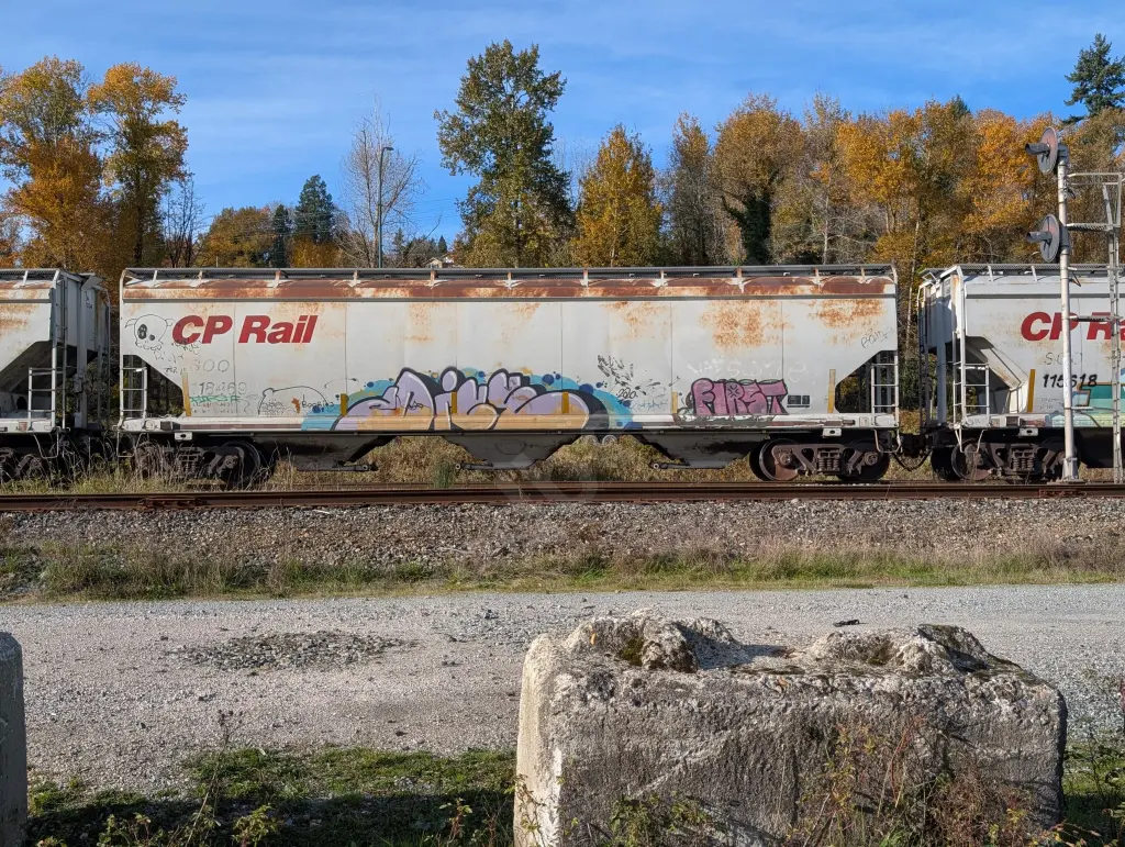 SOO118469 - NORTH-AMERICA