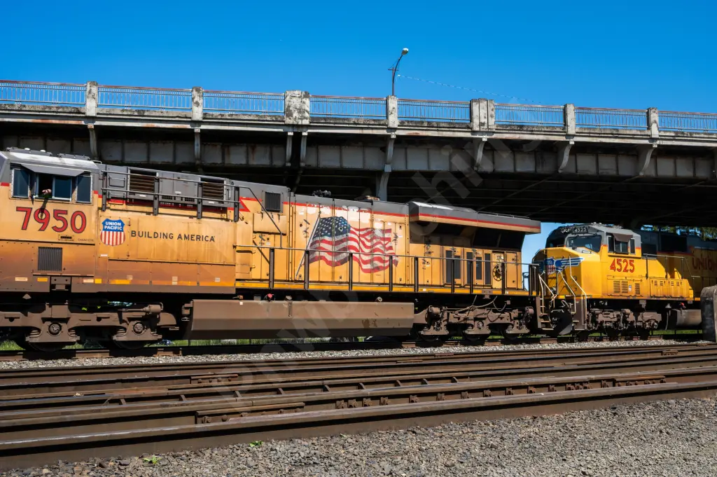UP7950 - NORTH-AMERICA