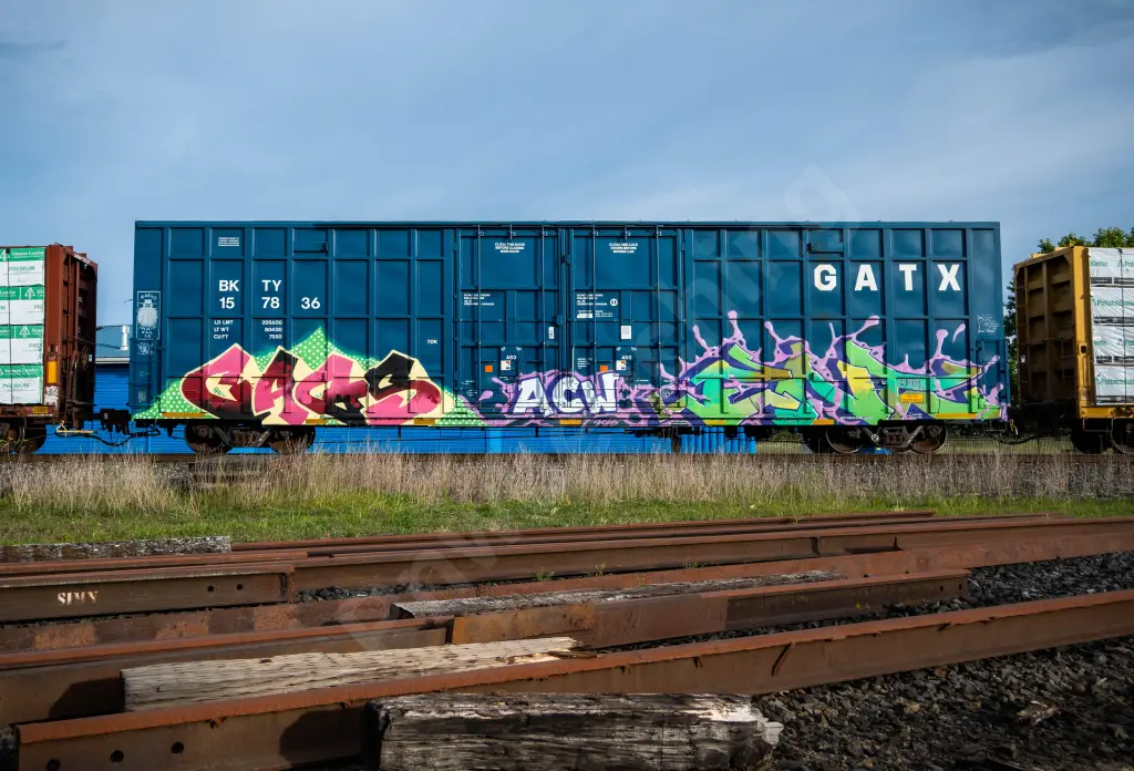 BKTY157836 - NORTH-AMERICA