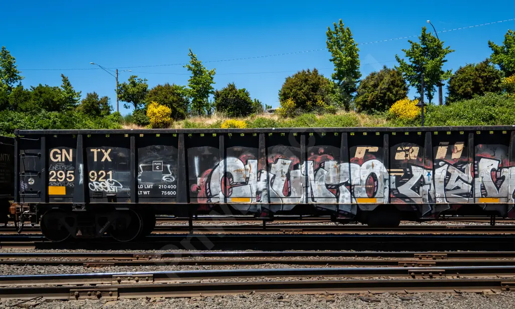 GNTX295921 - NORTH-AMERICA
