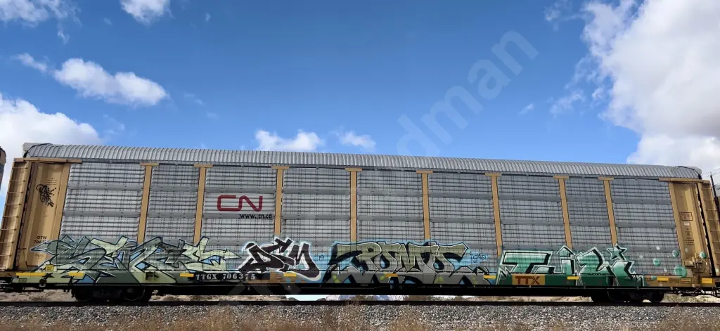 TTGX706375 - NORTH-AMERICA