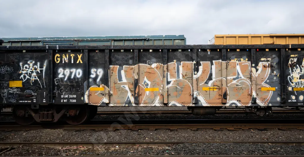 GNTX297059 - NORTH-AMERICA
