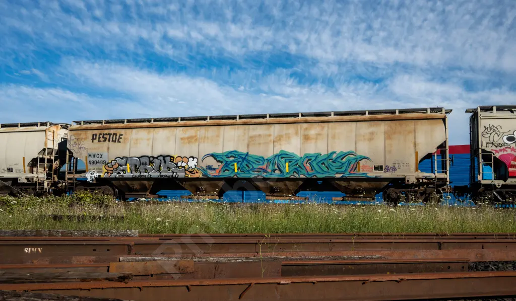 MWCX480489 - NORTH-AMERICA